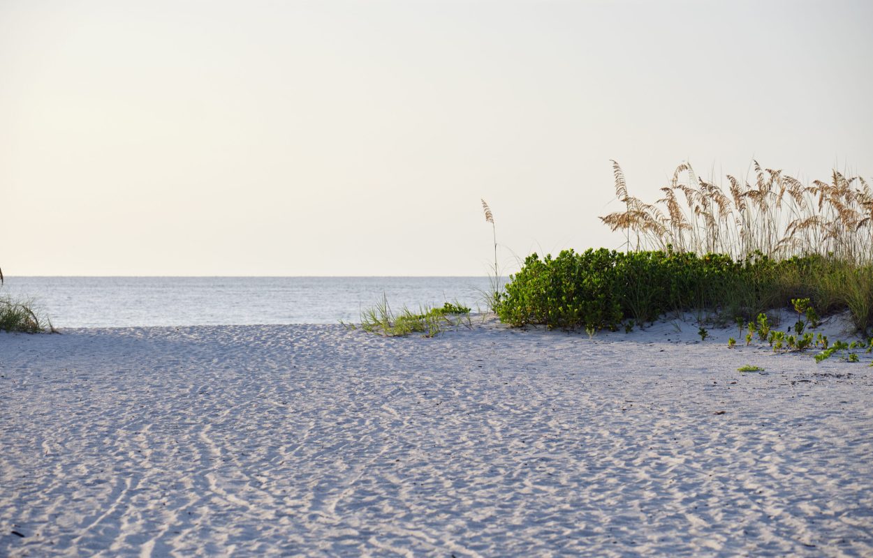 Seaside beach with small sand dunes and grassy vegetation on warm summer evening.
