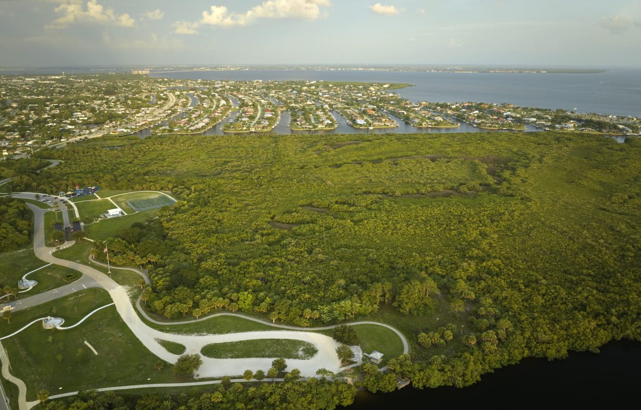 Aerial view of rural private houses in remote suburbs located near Florida wildlife wetlands with green vegetation on sea bay shore. Living close to nature concept.